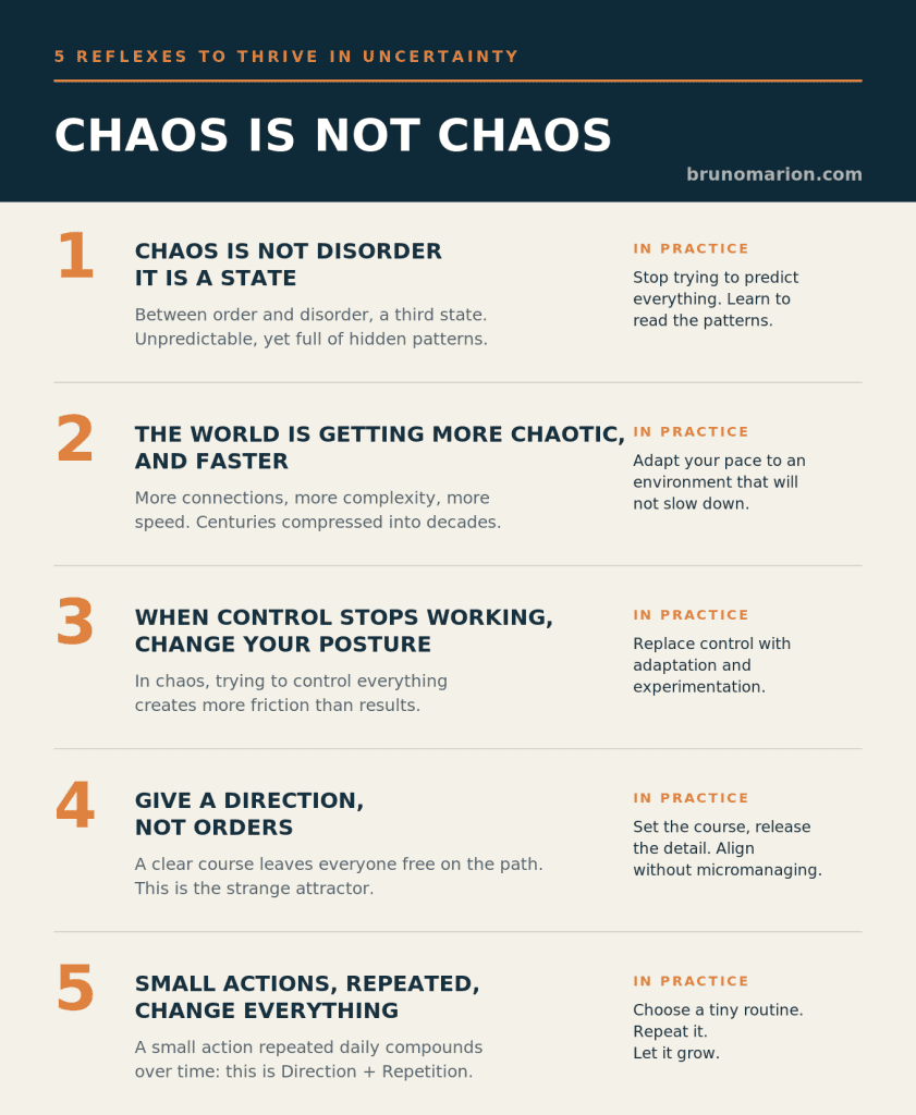Infographic by Bruno Marion: the 5 reflexes to thrive in uncertainty, from chaos that is not disorder to small repeated actions